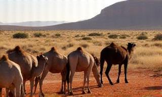 Sustainable Tourism in the Australian Outback